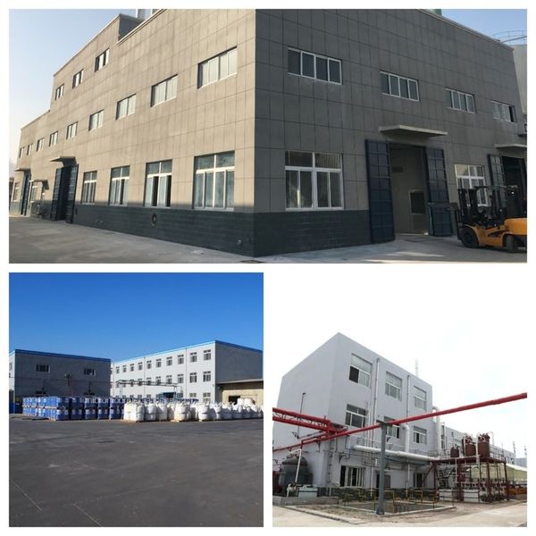 चीन Shandong Jiuchong Chemical Co., Ltd. कंपनी प्रोफाइल