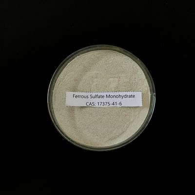 Ferrous Sulfate Monohydrate 91% Light Grey Powder FeSO4 H2O
