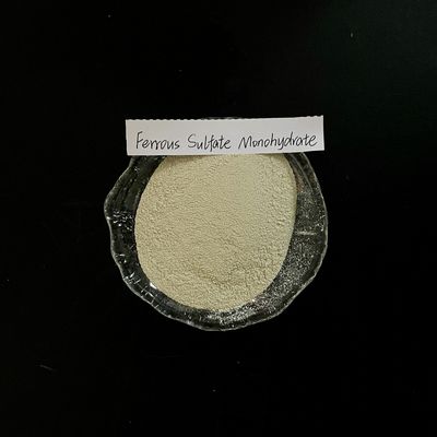 Ferrous Sulfate Monohydrate 91% Light Grey Powder FeSO4
